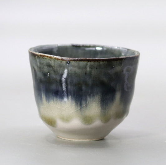 酒盃 藤平寧