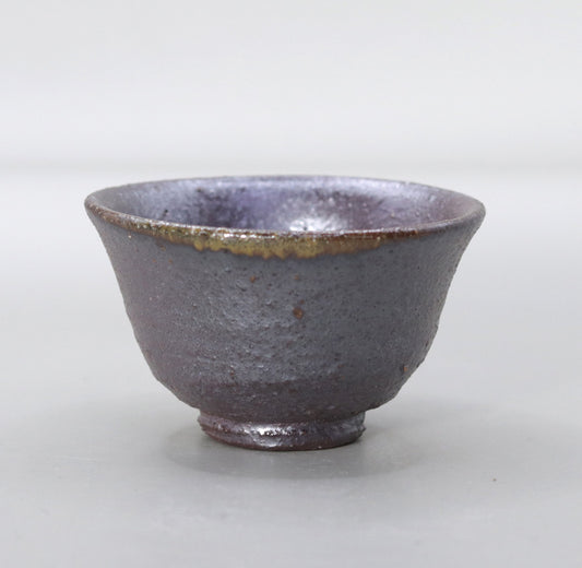 Yakushiji Temple East Pagoda Foundation Clay Yakishime Sake Cup by Rakusai Onishi