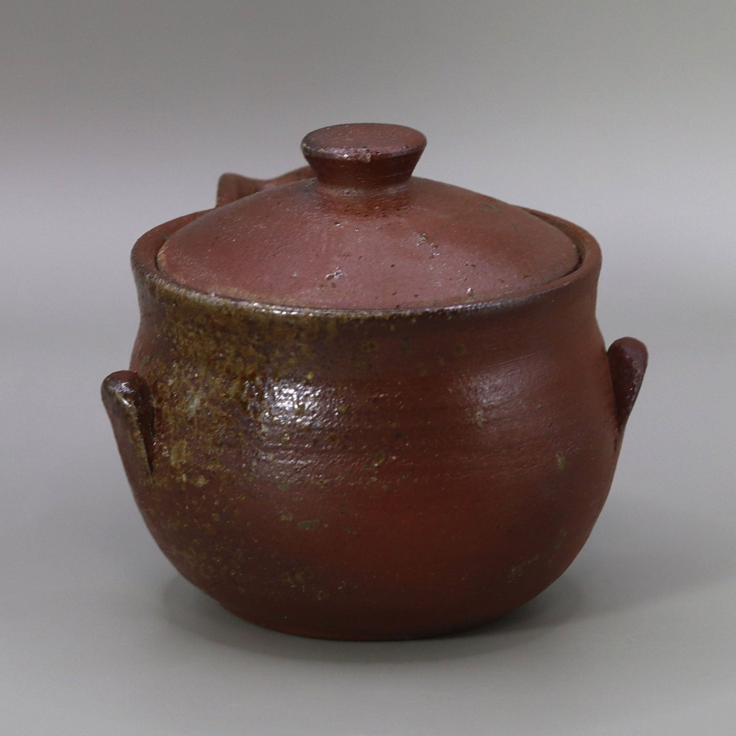 Kiln-transformed Sencha teapot (Hobin) by Seiichi Onishi