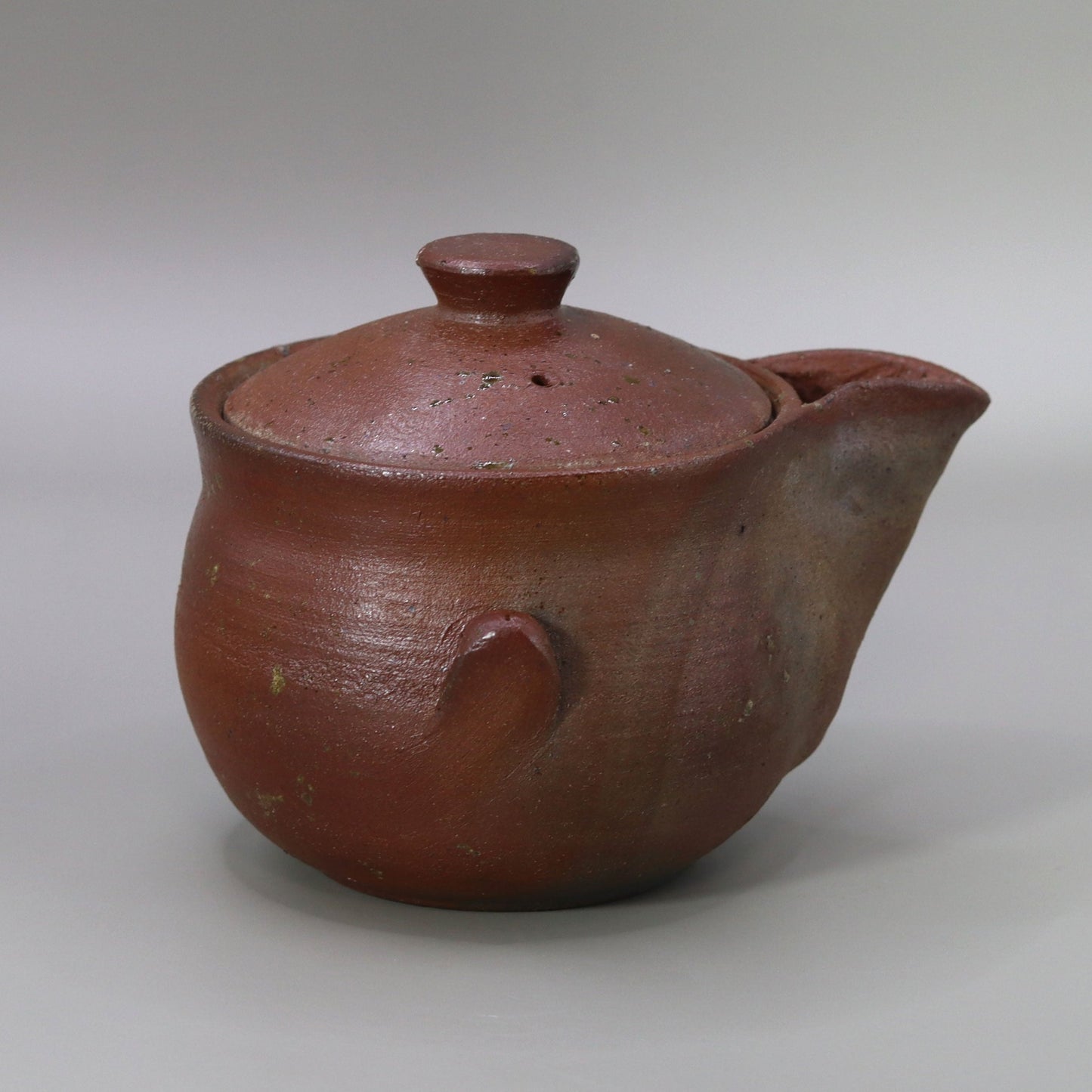 Kiln-transformed Sencha teapot (Hobin) by Seiichi Onishi