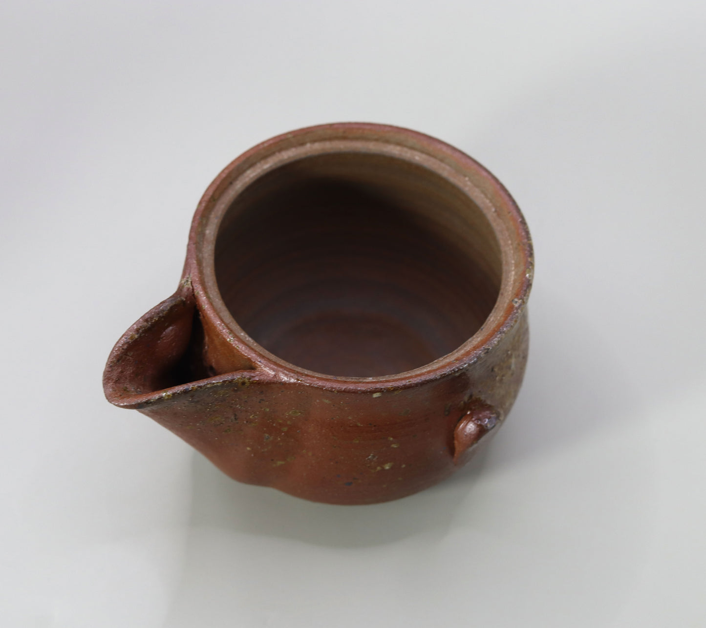 Kiln-transformed Sencha teapot (Hobin) by Seiichi Onishi