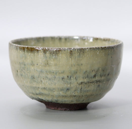 Yakushiji Temple East Pagoda Foundation Clay Ash Glazed Tea Bowl by Rakusai Bisai