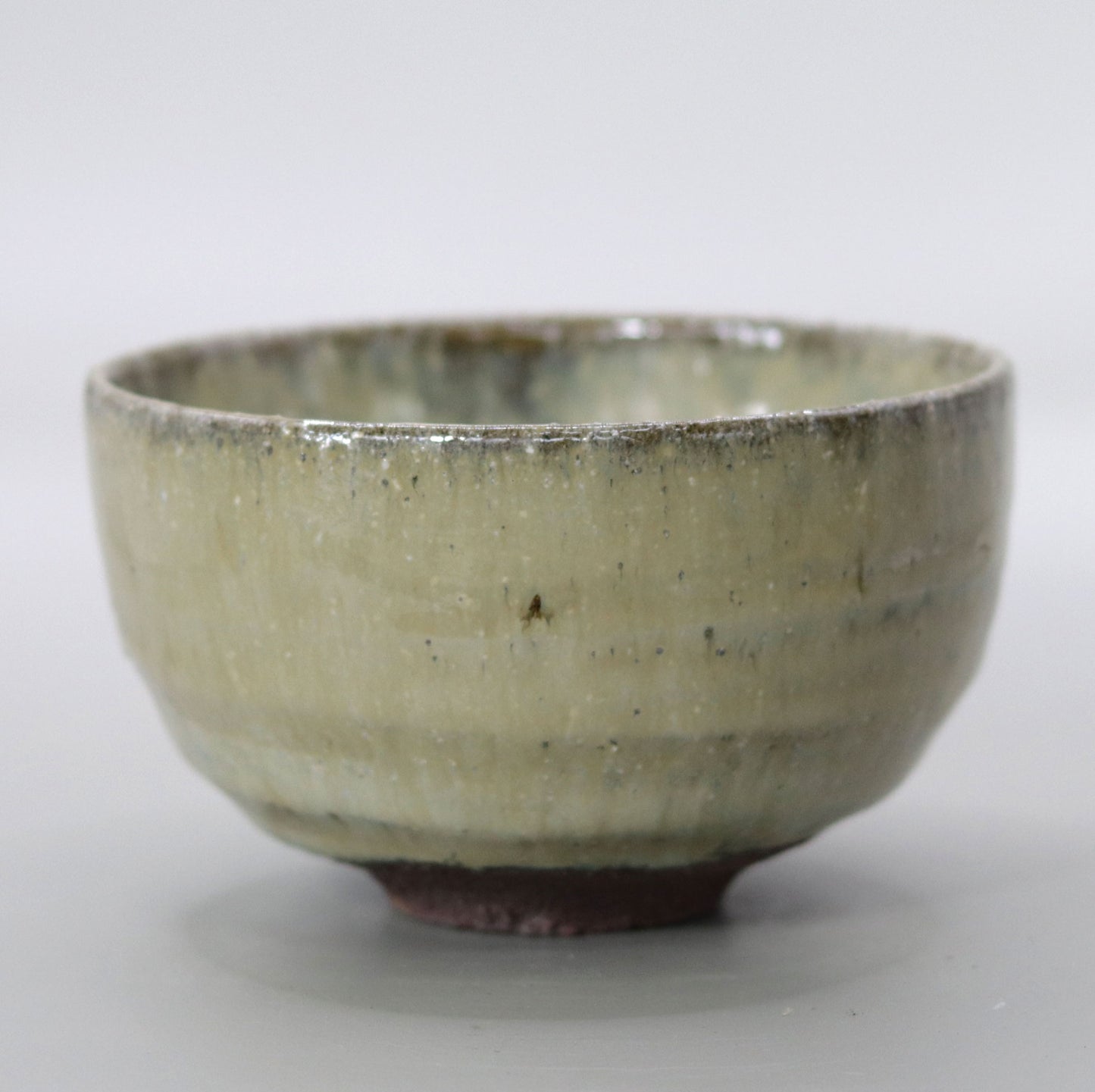 Yakushiji Temple East Pagoda Foundation Clay Ash Glazed Tea Bowl by Rakusai Bisai